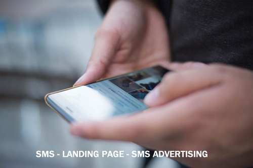 Landing Promotion header